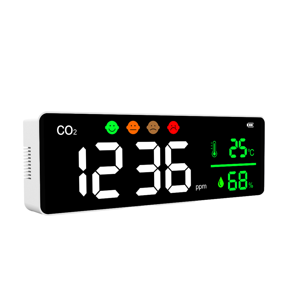 DM1306 CO2 Meter